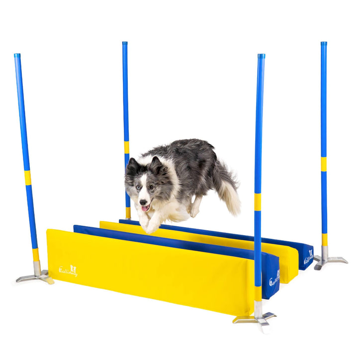 Callieway® Agility Soft-Weitsprung "SOSPIRI" - FCI konform (gelb/blau) inkl. 4 Ecksteher (blau) Gelb
