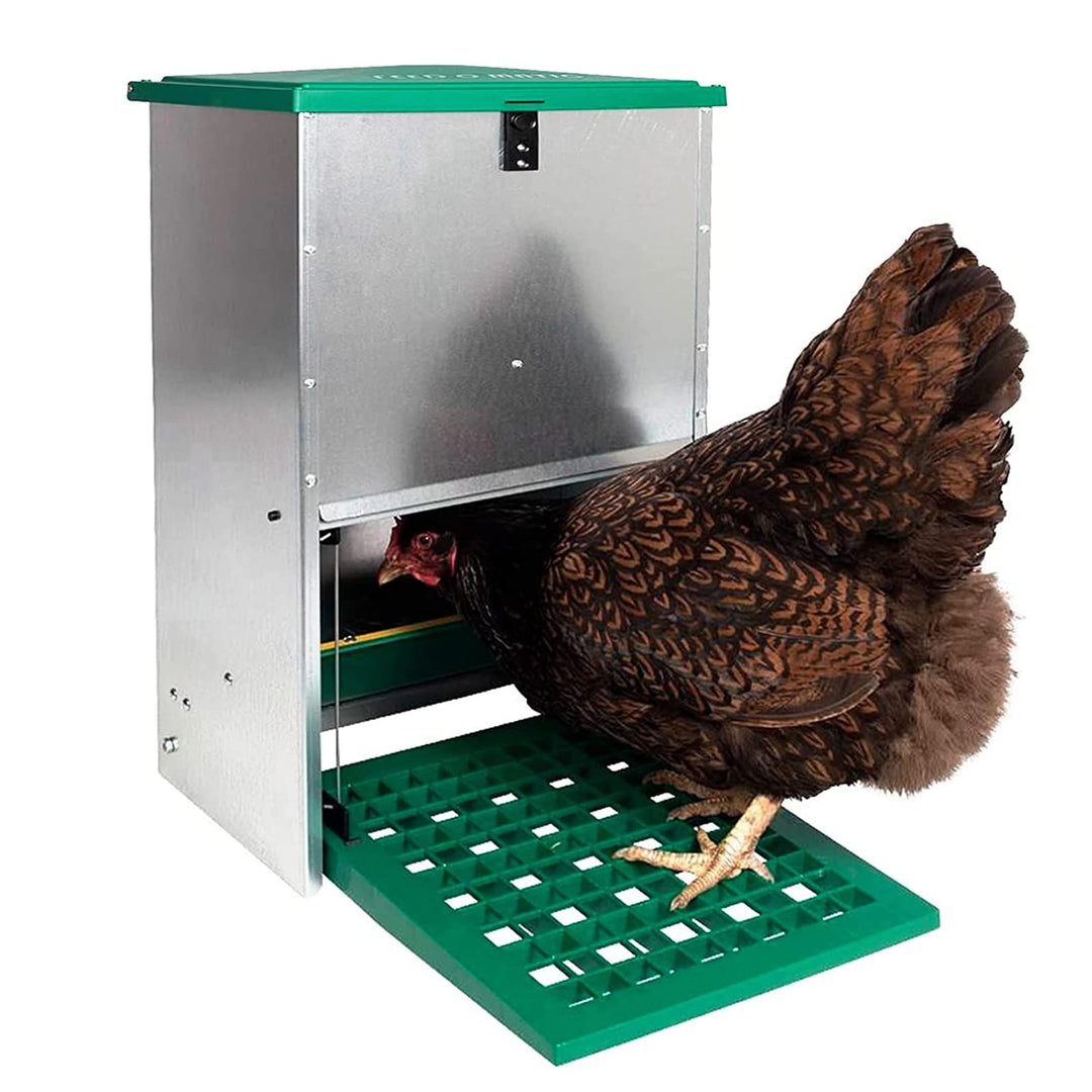 FINCA CASAREJO Automatischer Futterautomat für Hühner - Futterautomat gegen Schädlinge - Automatisch