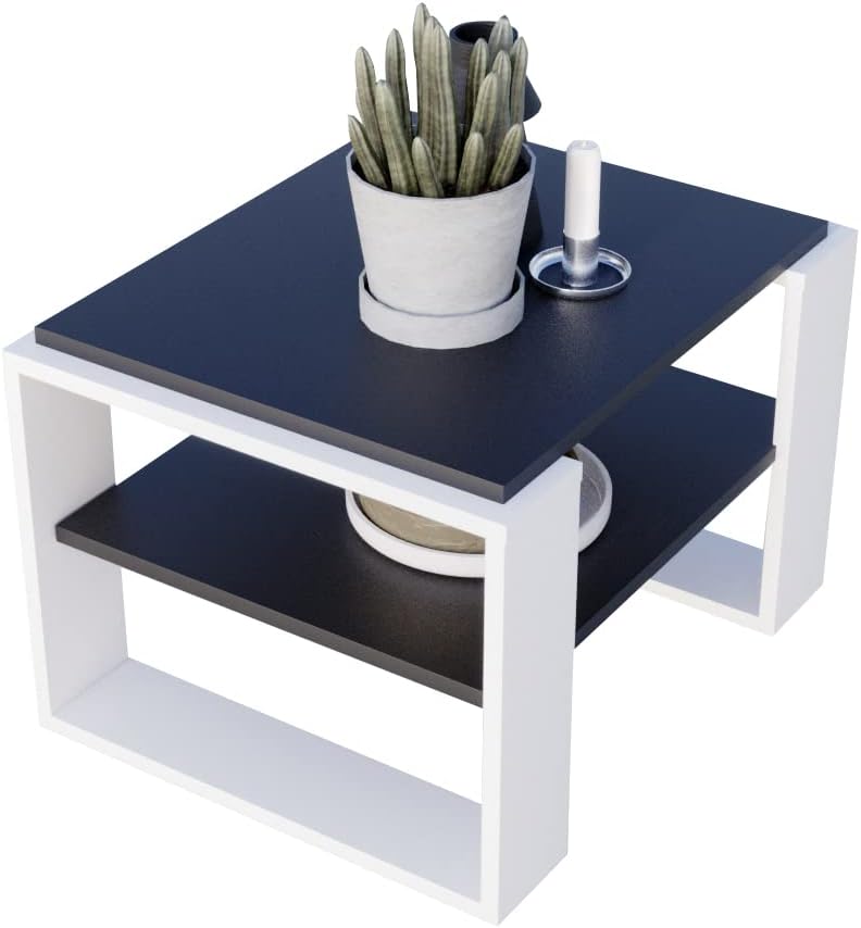 Couchtisch KAJA 63 rechteckiger Kaffeetisch aus Holz Modern Teetisch 63 x 54 x 44cm massiv und stabi