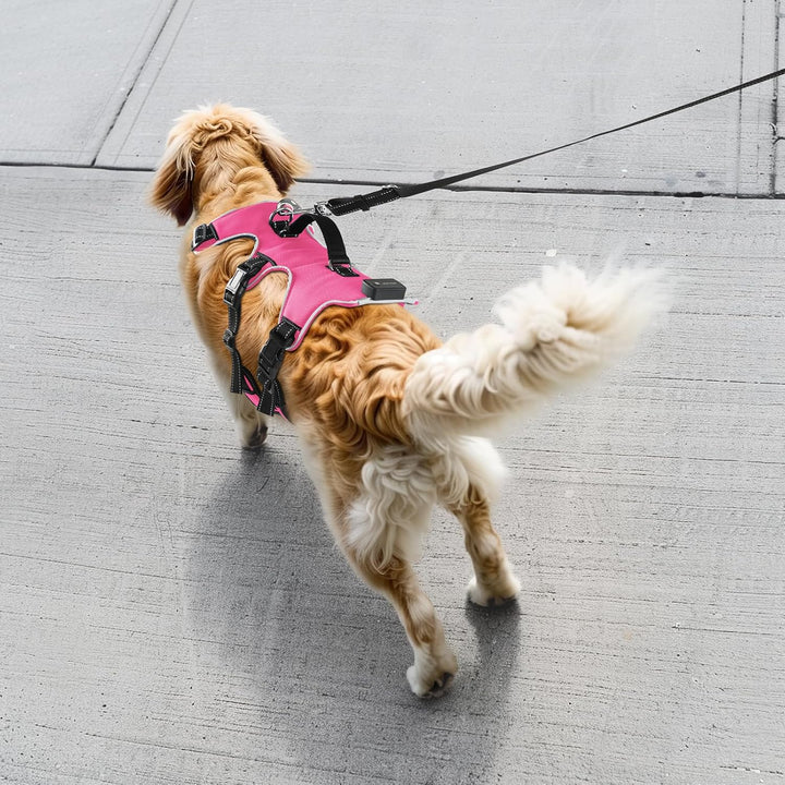 Jewyow Hundegeschirr Leuchtend, Wiederaufladbare LED Hundegeschirr, Led Geschirr für Hunde mit Weich