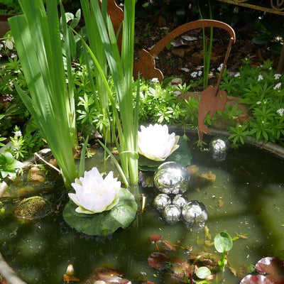 Storm's Gartenzaubereien Miniteich Komplettset mit 2 Seerosen weiss - Schwimmkugeln - Teichkugeln in