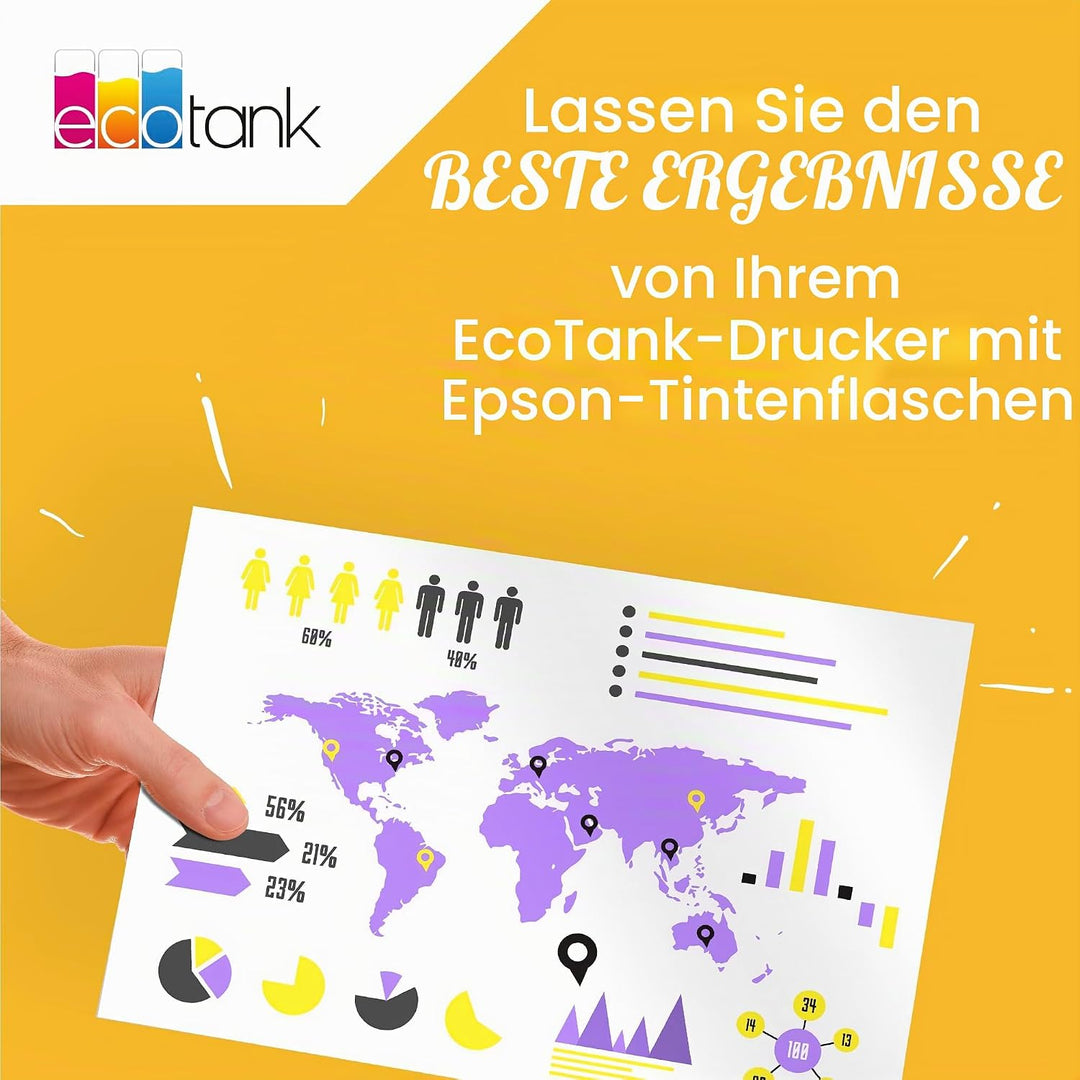 Epson EcoTank 113 Original Tintenflasche, Schwarz, Pigmenttinte (Packung mit 2) Schwarz 127 ml (Pack