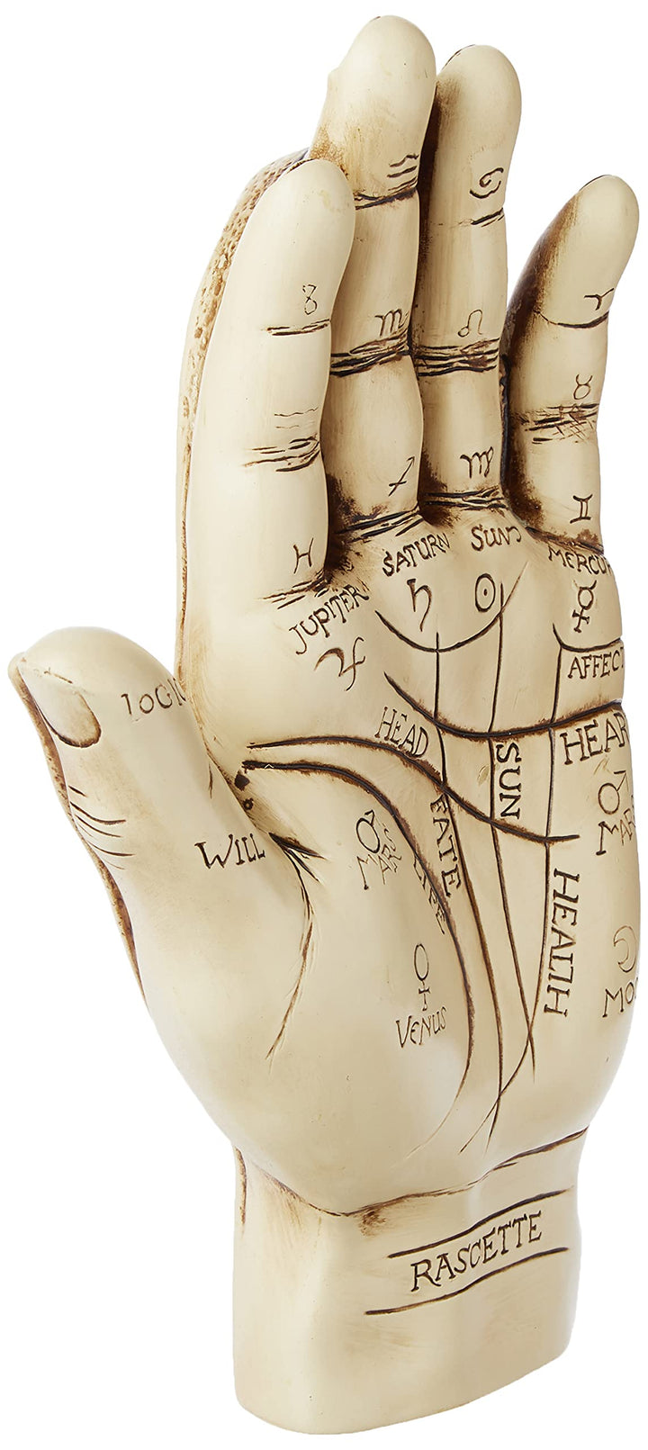 Design Toscano Handfläche, Figur Polyresin Hand, Polyresin Hand