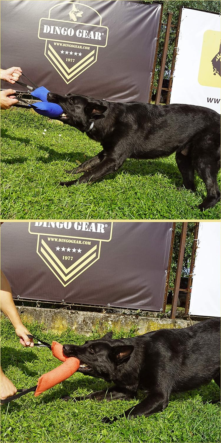 Dingo Gear Baumwolle-Nylon Beisswurst für Hundetraining K9 IGP IPO Obiedence Schutzhund Hundesport,