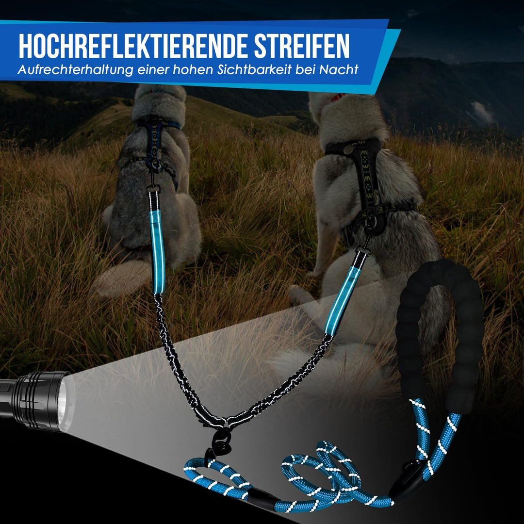 Eyein Doppelleine für 2 Hunde, Hundeleine für kleine und mittelgrosse Hunde, Flexible und reflektier