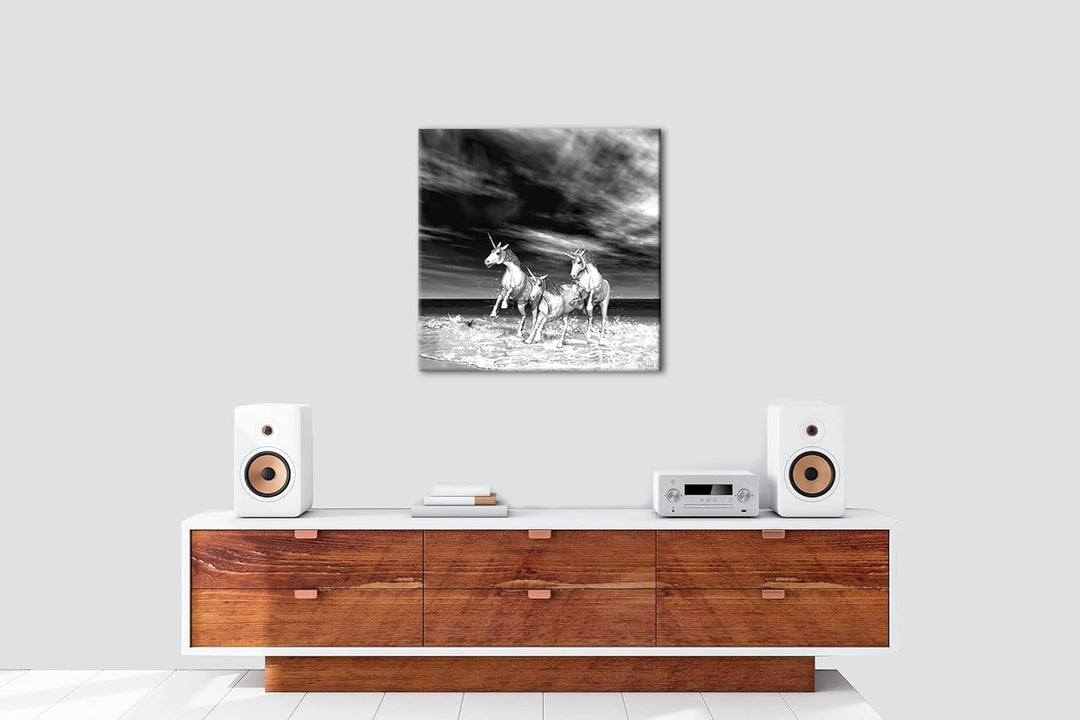 galoppierende Einhörner am Strand Format: 70x70 Effekt: Schwarz&Weiss als Leinwandbild, Motiv fertig