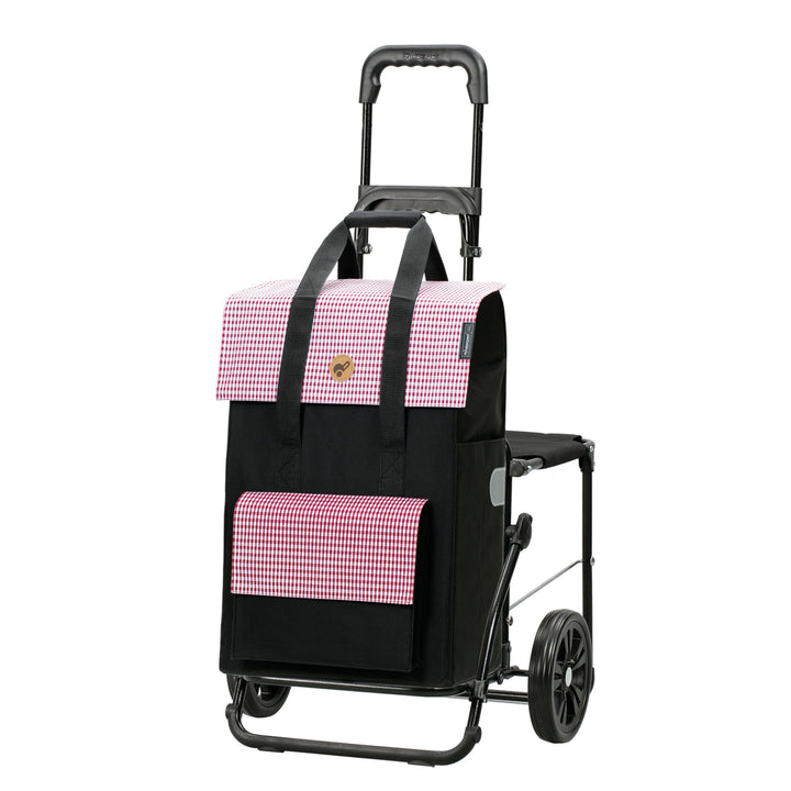 Andersen Einkaufstrolley - klappbar - 54 Liter - mit Klappsitz bis 120 kg | belastbar 50 kg - Stahlg