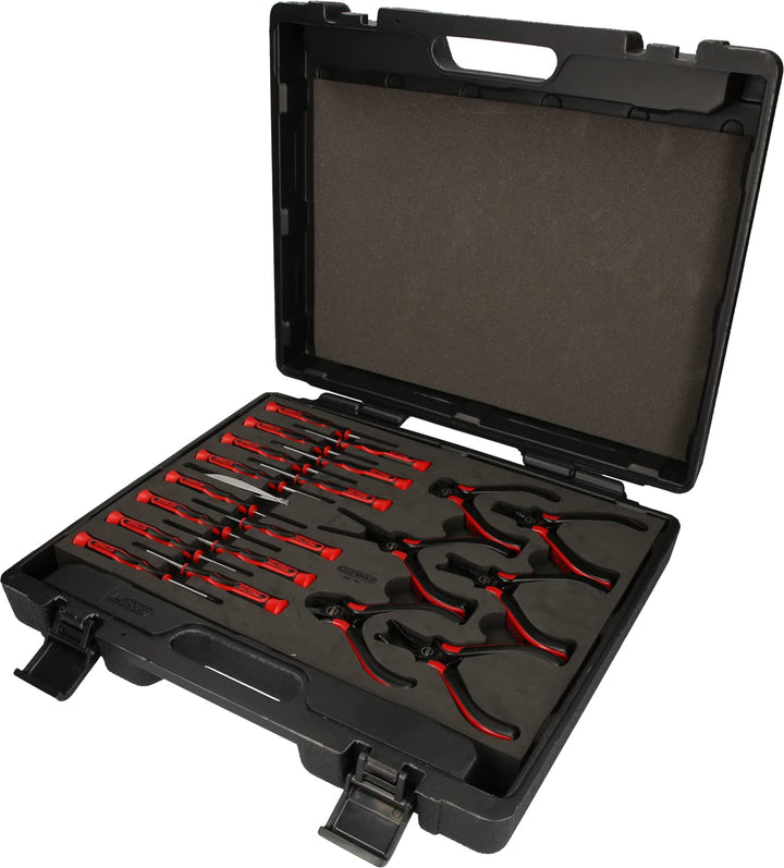 KS Tools 500.7190 Feinmechanik-Werkzeug-Satz, 21-tlg.