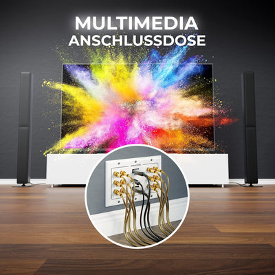 deleyCON Multimedia Lautsprecher Boxen Wanddose Anschlussdose Wandplatte mit Bananenstecker-Buchsen