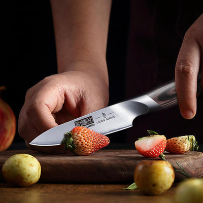 HOSHANHO 10cm Schälmesser, Profi Obstmesser und Gemüsemesser, Küchenmesser Klein Hochwertigem Edelst