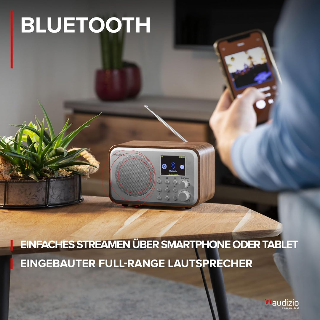Audizio Milan DAB Radio mit Bluetooth, 10 Stunden Akku Radio 2000 mAh, Radiowecker mit Sleeptimer, L