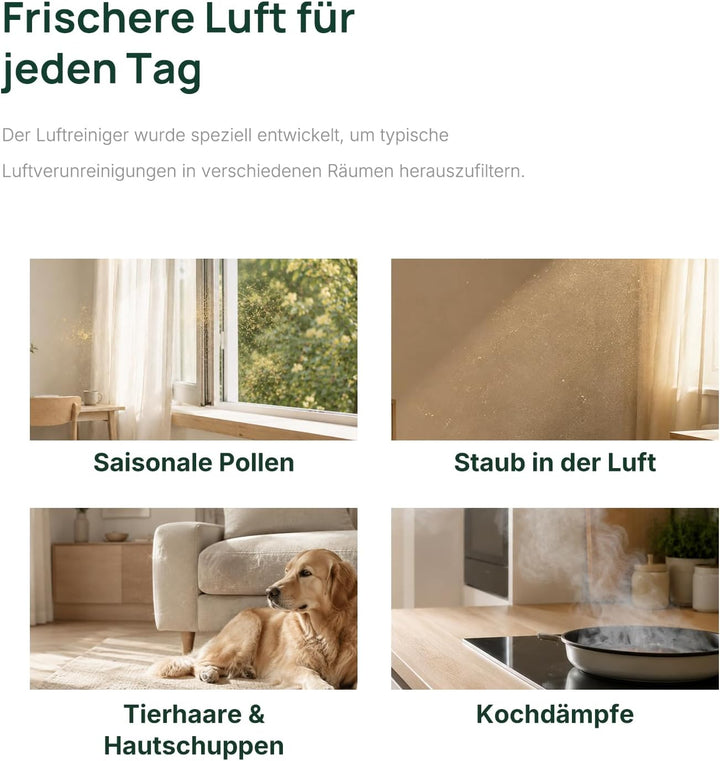 KNKA Original-Ersatzfilter für APH1000 Luftreiniger, 2er-Pack