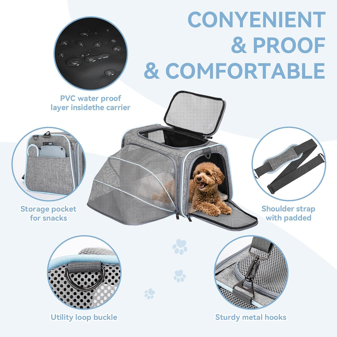 Petsfit Faltbarer Transporttasche Katze und Hund,erweiterbare Katzentransportbox mit Schultergurt Hu