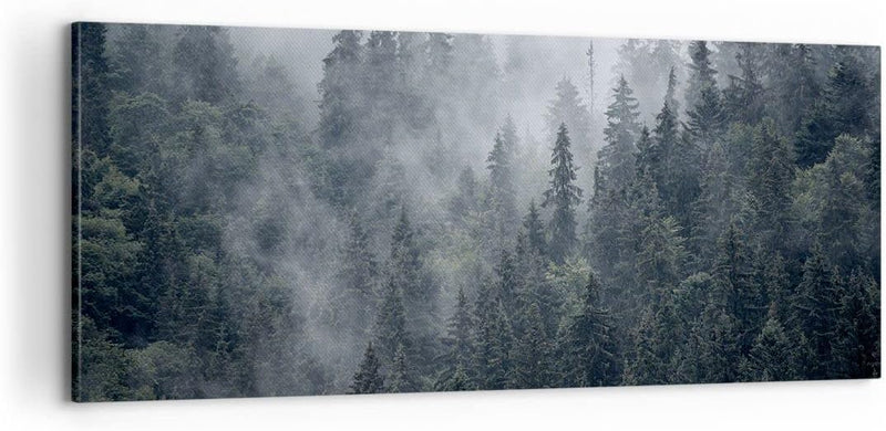 Panorama Bilder auf Leinwand 100x40cm Leinwandbild mit Rahmen Wald Baum Natur Gross Wanddeko Bild Sc