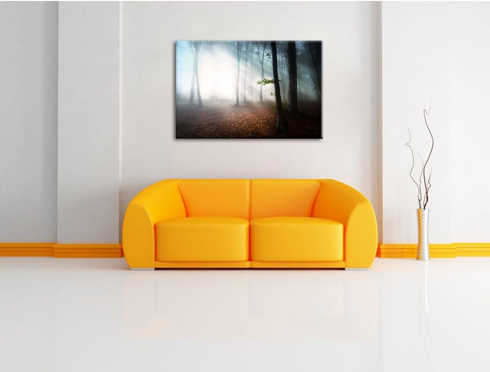 Düsterer Wald im Nebel, Format: 100x70 auf Leinwand, XXL riesige Bilder fertig gerahmt mit Keilrahme