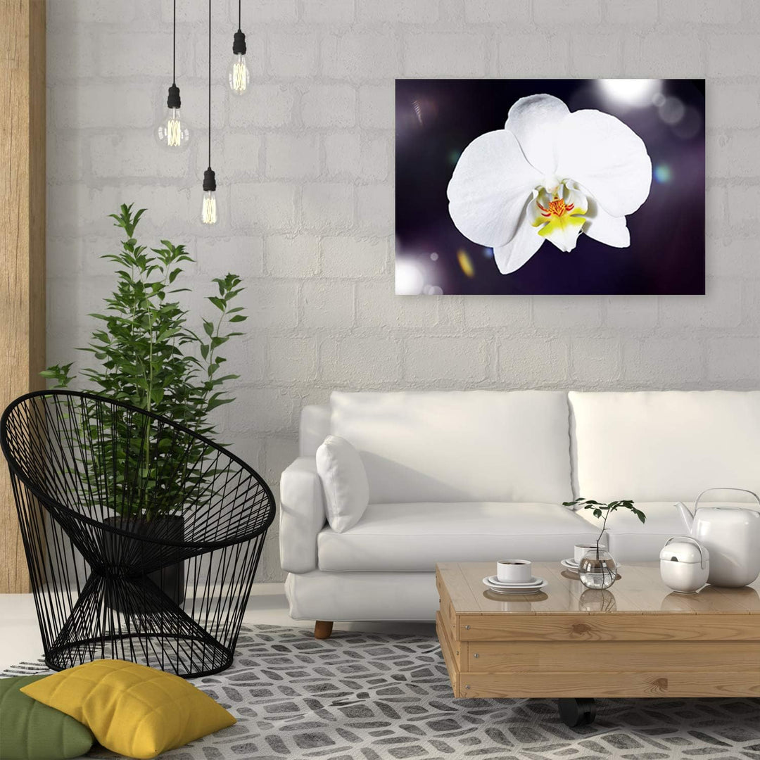 Feeby Wandbild Orchidee Druckbild Leinwandbild Pflanze Weiss 100x70 cm Leinwandbild 100x70 cm Weiss_