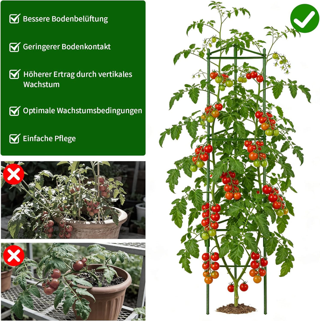 Tomaten Rankhilfe 6er-Set: 130 cm Metall Rankgitter Tomaten – Einstellbare DIY Pflanzenstütze für To