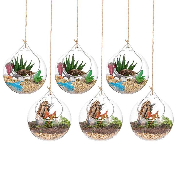 Hängende Glaskugel Vase Glaskugel 6 Pcs Grosse Öffnung Sukkulenten Aufhängen Terrarium Glas Flower A