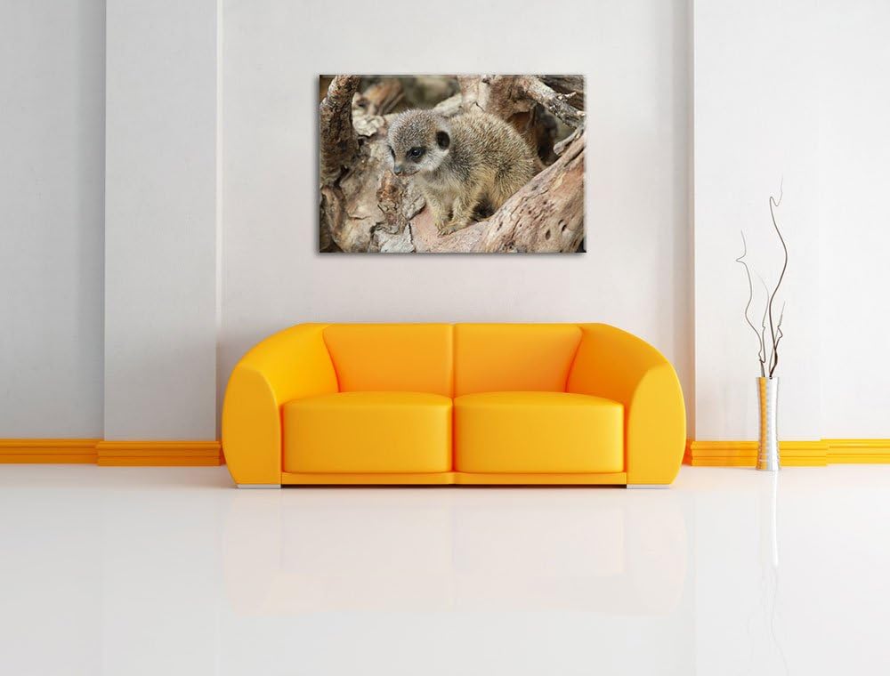 Pixxprint junges Erdmännchen auf Baum auf Leinwand, XXL riesige Bilder fertig gerahmt mit Keilrahmen