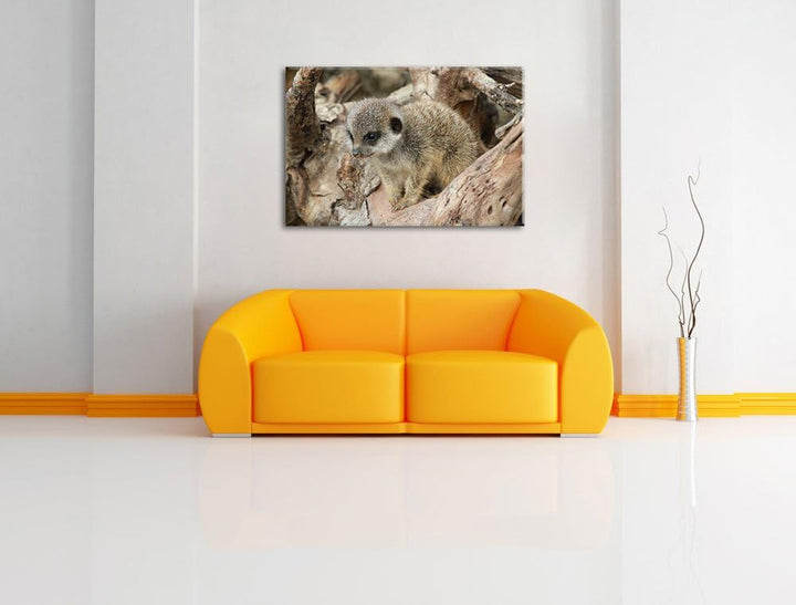 Pixxprint junges Erdmännchen auf Baum auf Leinwand, XXL riesige Bilder fertig gerahmt mit Keilrahmen