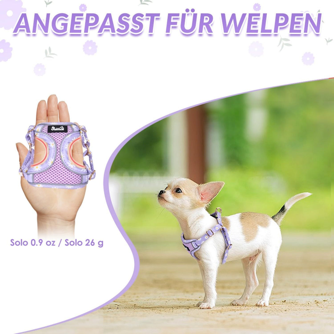 Eyein Hundegeschirr Kleine Hunde mit Leine, Atmungsaktiv Air Mesh Brustgeschirr mit reflektierenden