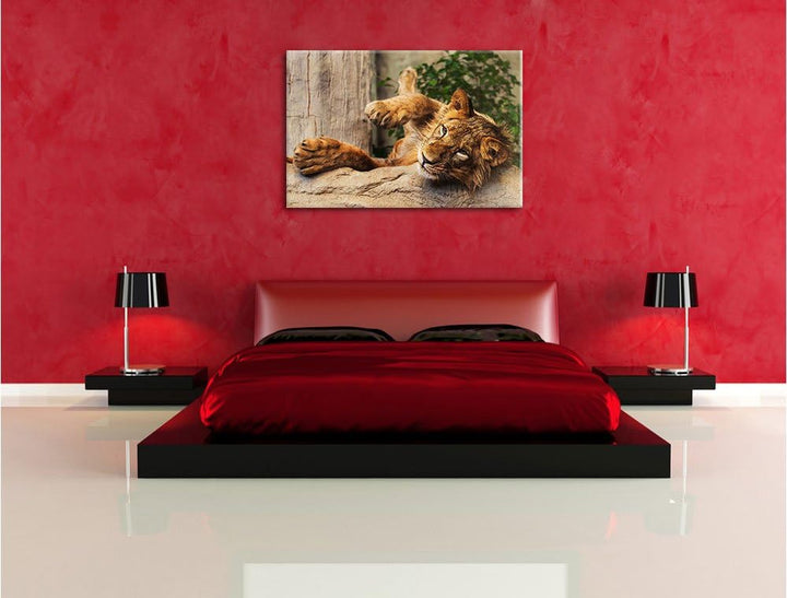 verspielter kleiner Löwe, Format: 100x70 auf Leinwand, XXL riesige Bilder fertig gerahmt mit Keilrah