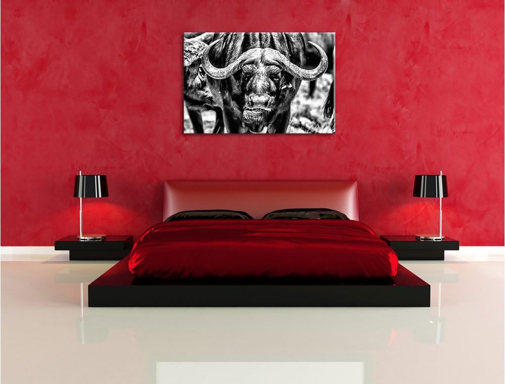 Pixxprint Monocrome, Wasserbüffel Schwarz/weiss, Format: 100x70 auf Leinwand, 100x70