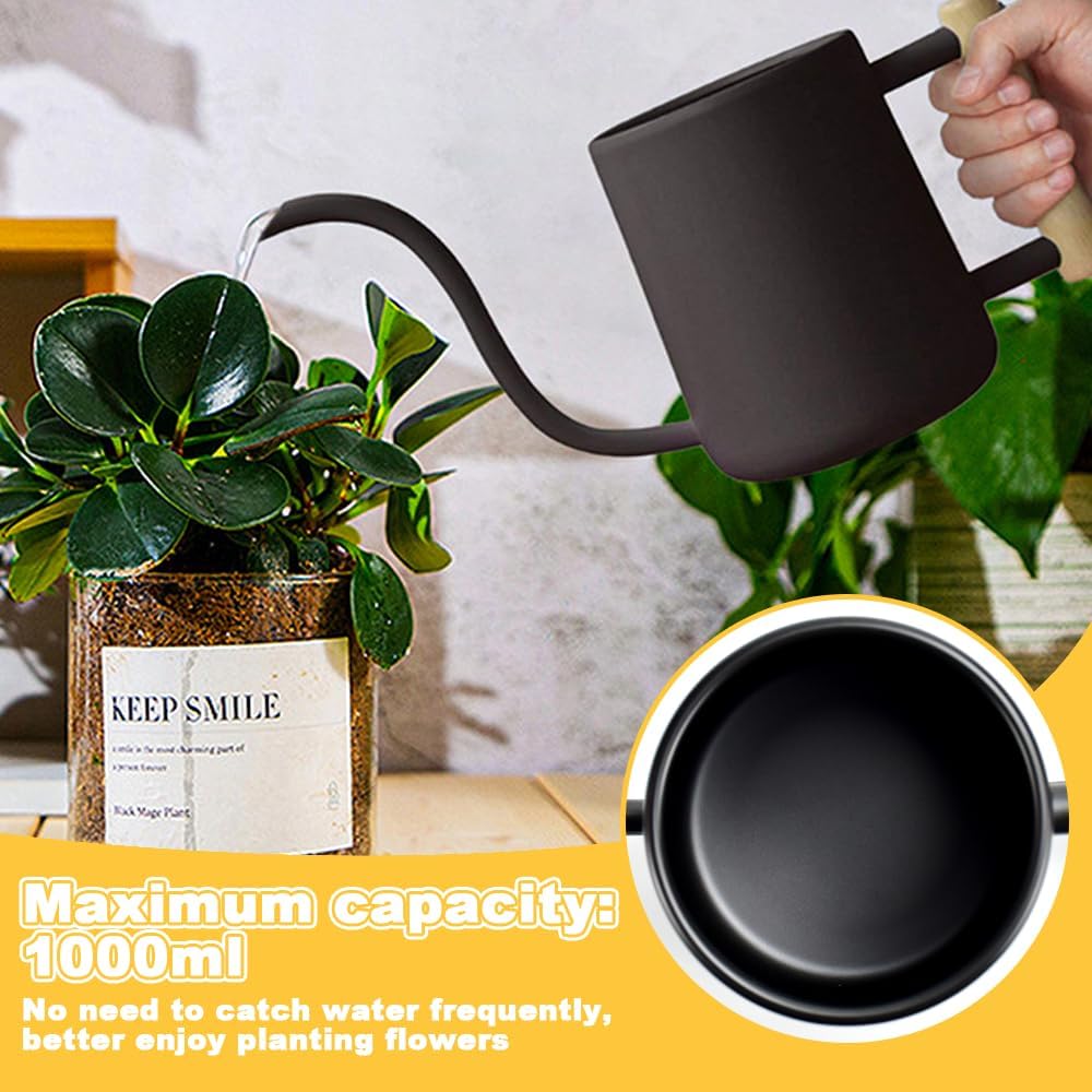 LPAMABA 1L Indoor Giesskanne Edelstahl Giesskanne Klein GiesskanneGiesskanne für Zimmerpflanzen Sukk