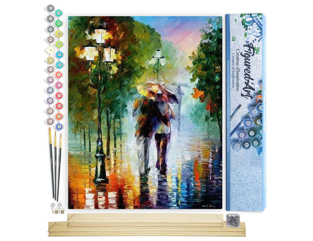 Figured'Art Malen Nach Zahlen Erwachsene Mit Rahmen Romantischer Regen - Paint by Numbers Basteln DI