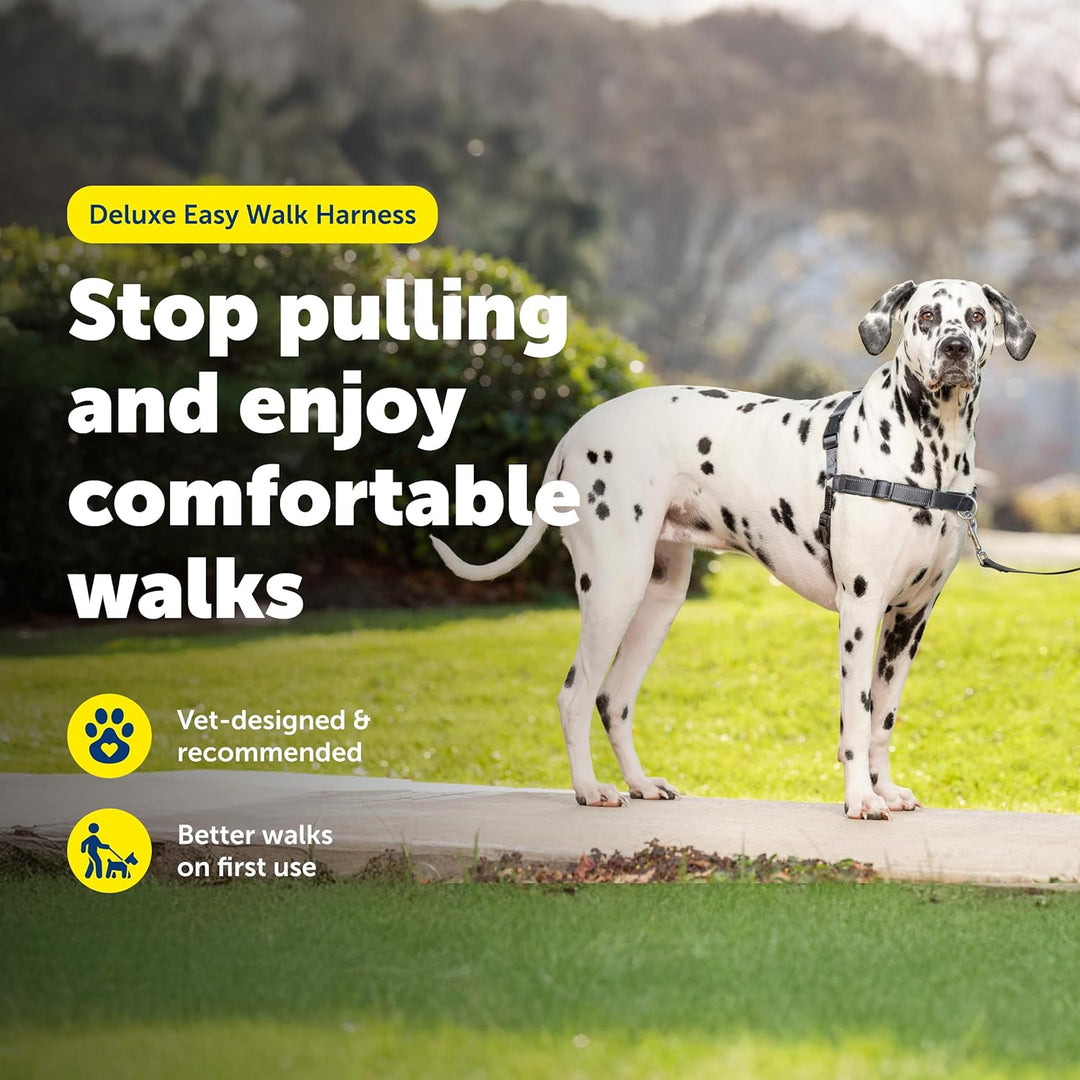 PetSafe Deluxe Easy Walk Hundegeschirr stahl L, stahl L