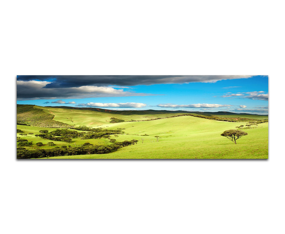 Paul Sinus Art Panoramabild auf Leinwand und Keilrahmen 120x40cm Neuseeland Landschaft Natur