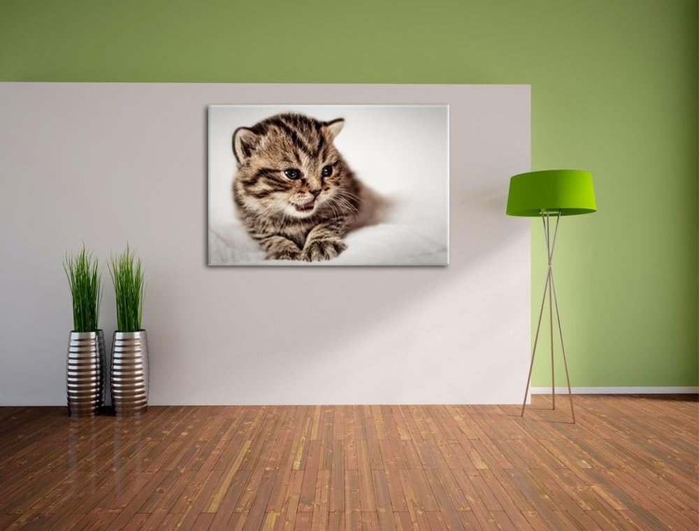 kleines Kätzchen auf weisser Decke auf Leinwand, XXL riesige Bilder fertig gerahmt mit Keilrahmen, K