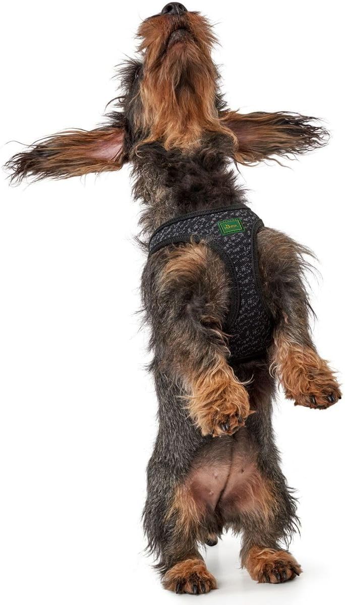 Hundegeschirr Hilo Soft Comfort S, Mesh, grau S grau, S grau
