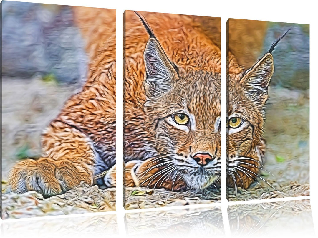 wachsamer Luchs NewArt 3-Teiler Leinwandbild 120x80 Bild auf Leinwand, XXL riesige Bilder fertig ger