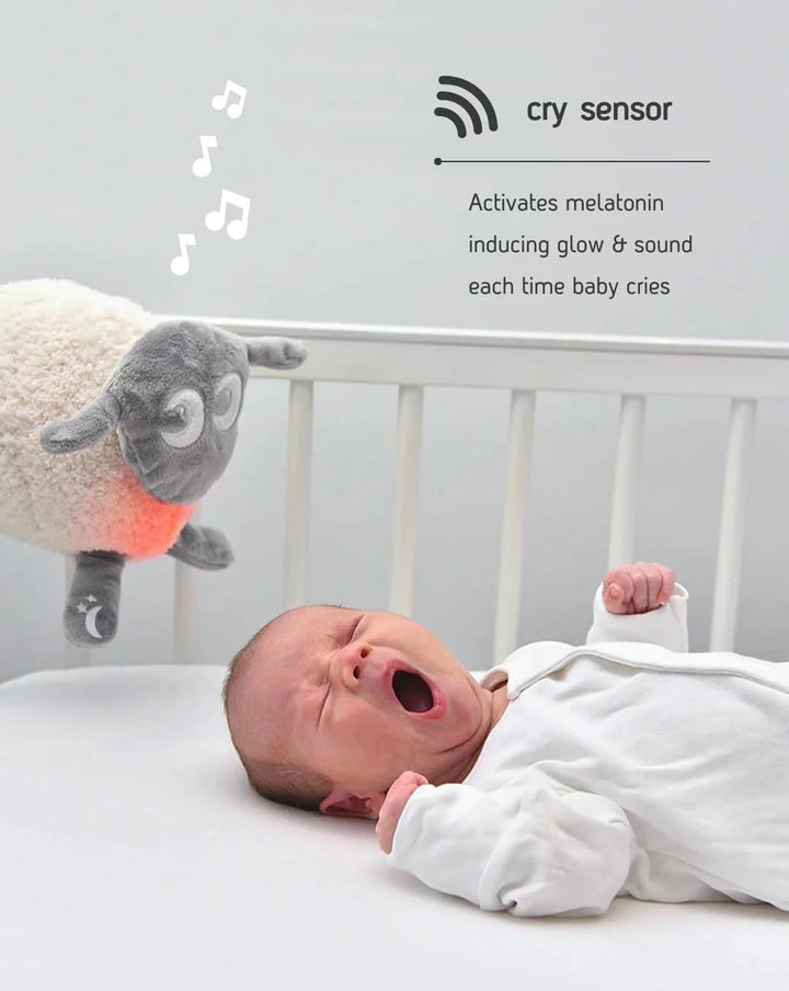 Sweet Dreamers Ewan Deluxe - Wein-Sensor für ruhigen Schlaf, Waschbar, grau
