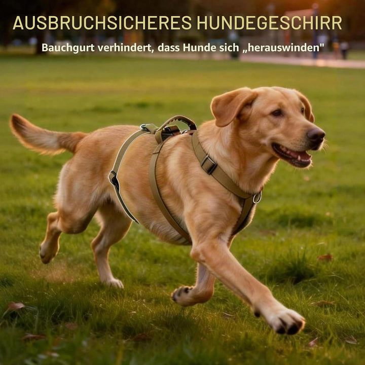 Hundegeschirr Ausbruchsicher, Anti Zug Sicherheitsgeschirr Hund, Verstellbare Brustgeschirr mit Gepo