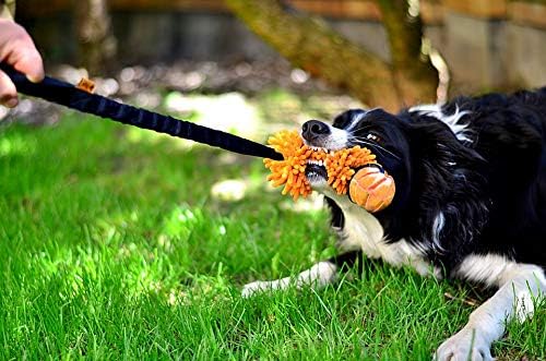 Dingo Mop Bungee Rot Mikrofaser mit Vanille Duft Ball Hundespielzeug Agility Apporte zum Spielen Tau