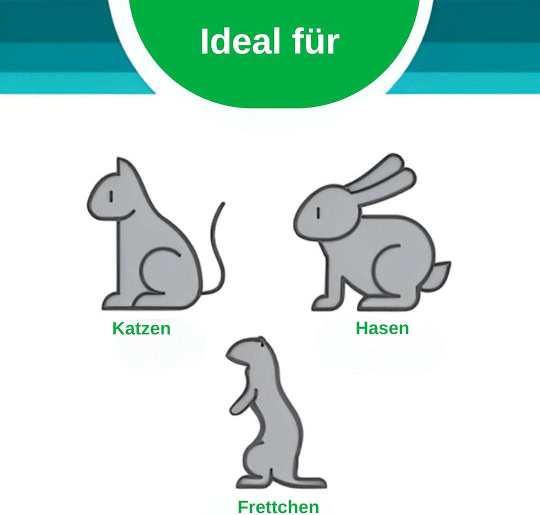 Litter Pearls Probtiotics Katzenstreu, geruchlos, Nicht klumpend, Kristall-Katzenstreu mit geruchshe