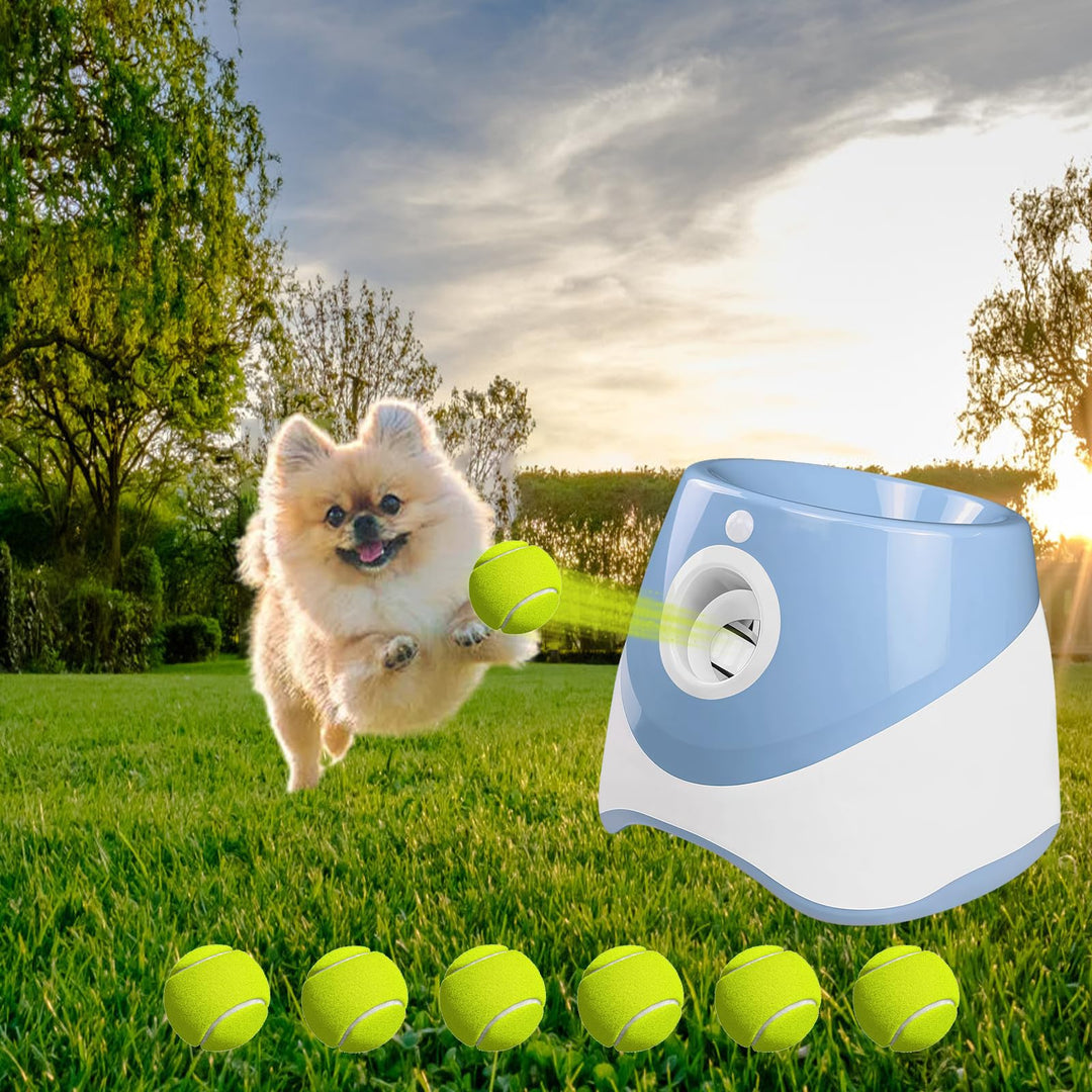 Ballwurfmaschine für Hund, Automatischer Hunde Ballwurfmaschine mit 6 Tennisbälle, Hundespielzeug Ba