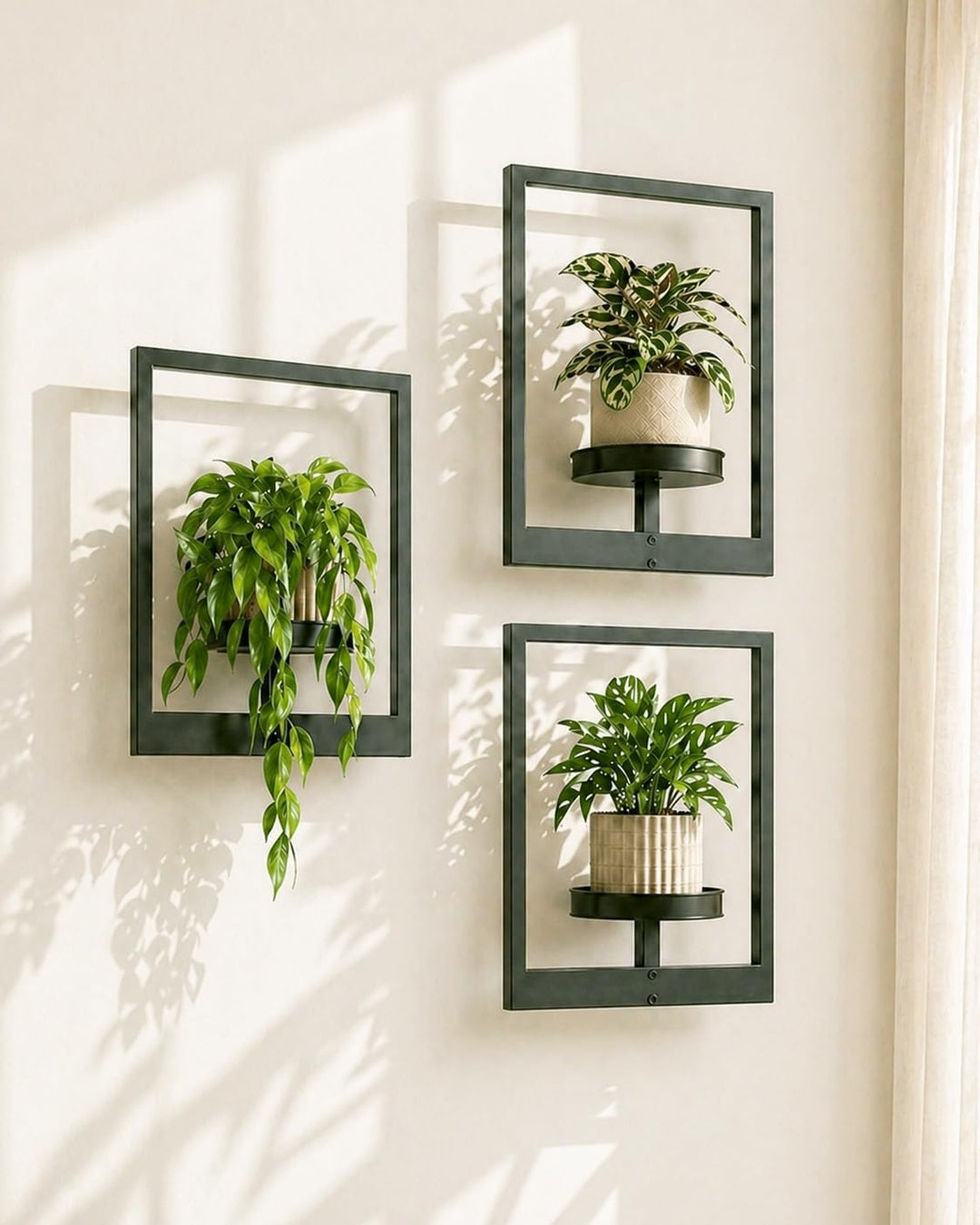 Bamworld Wandbehang Pflanzgefässe für Zimmerpflanzen 3 Set Wand Blumenständer Moderner Pflanzenständ