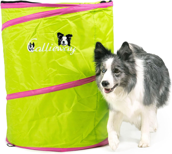 Callieway Hoopers Agility Barrel – Tonne/Fass für Hundetraining (Doppelpack, Blau) | Leicht, stabil