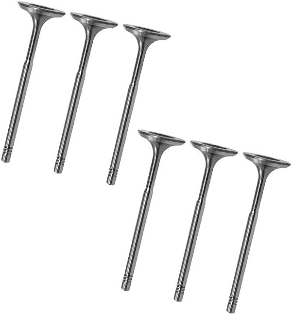 6x Einlassventil