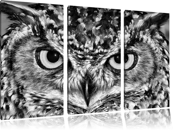Pixxprint Eule mit gelben Augen als Leinwandbild/Grösse: 3 Teilig (120x80) cm/Wandbild/Kunstdruck/fe