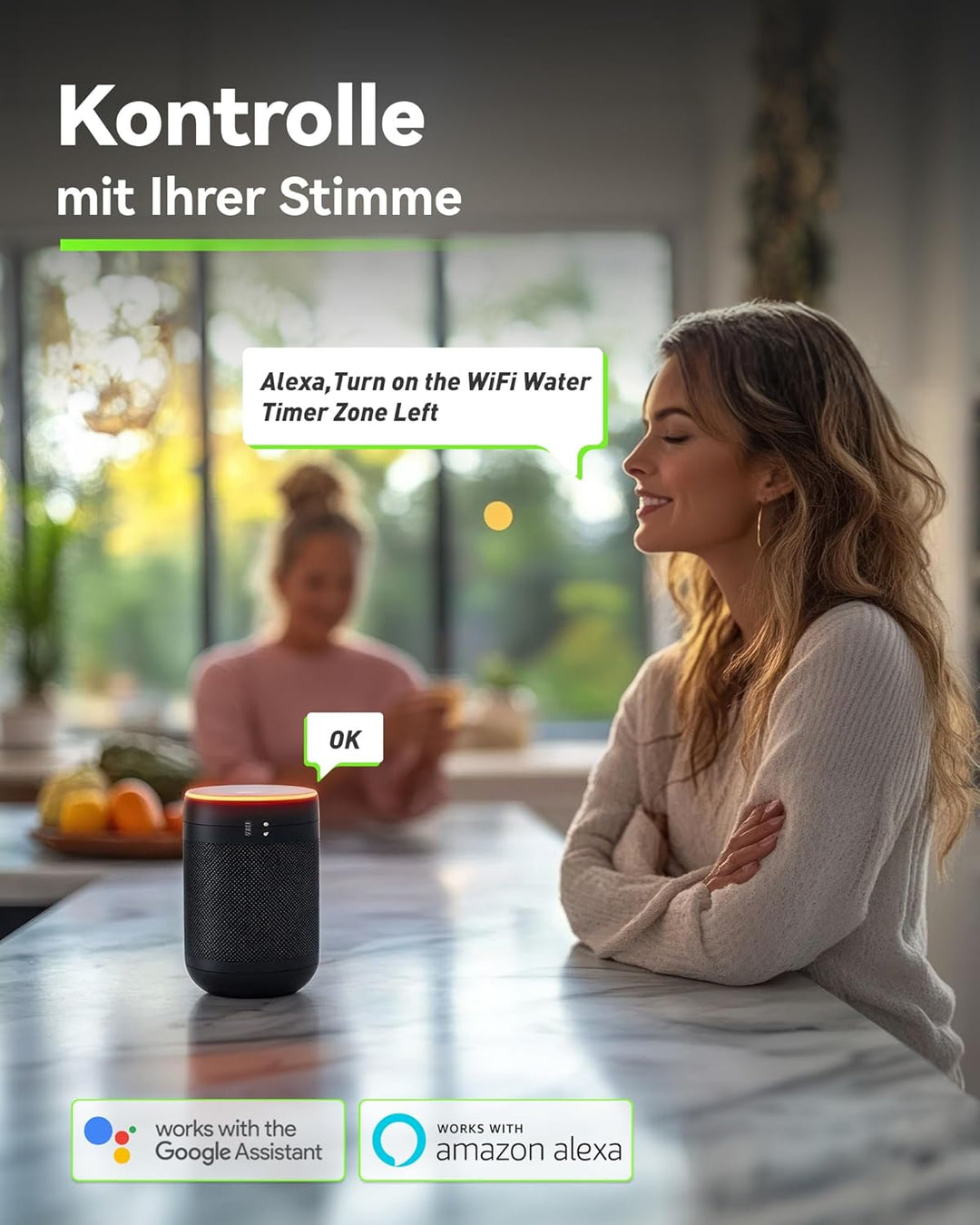 RAINPOINT Bewässerungscomputer WLAN 2 Ausgänge mit Antennen-Gateway und Messingeinlass Smart Bewässe