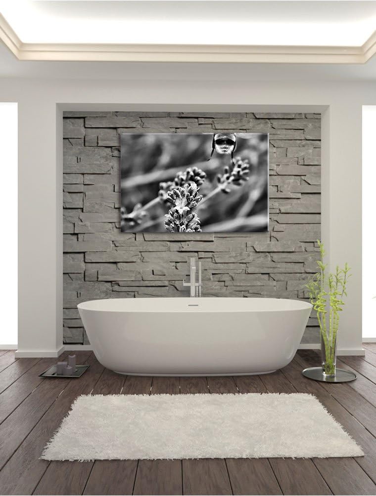 Pixxprint Monocrome, Biene auf Kriechender Günsel, Format: 100x70 auf Leinwand, 100x70