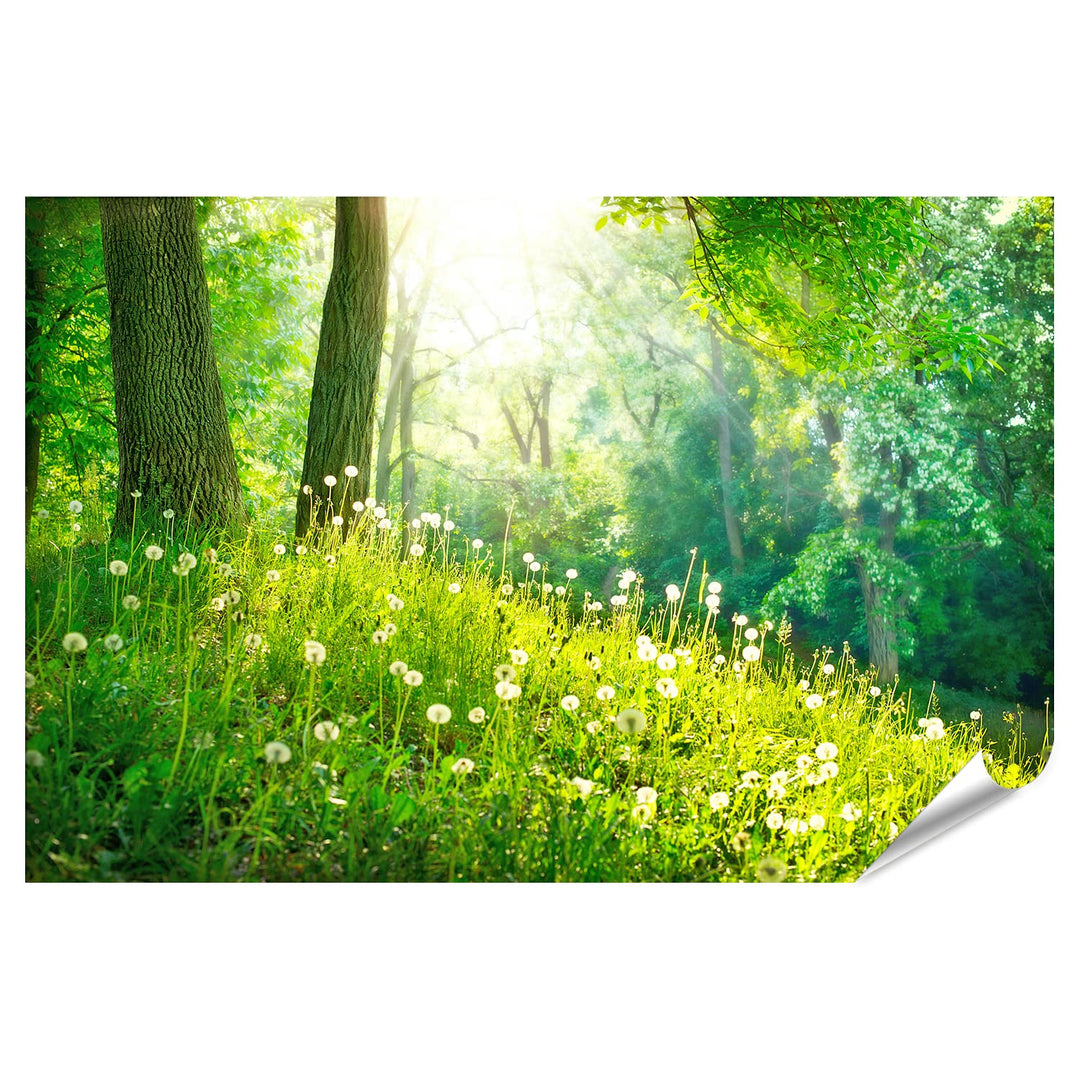 islandburner XXL Bild Poster Spring Nature Schöne Landschaft Grünes Gras Und Bäume Premium Bilder Fo