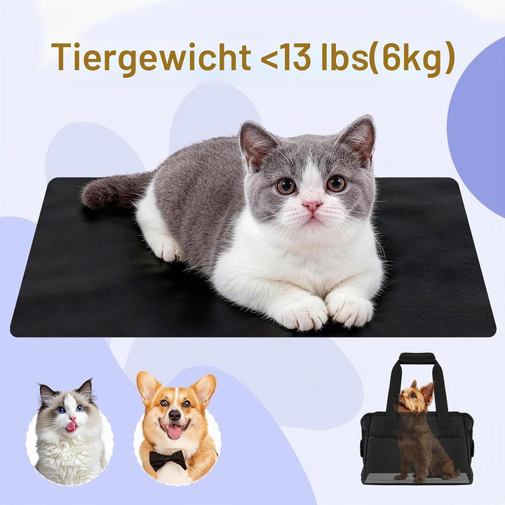 Tragetasche für kleine Hunde Kaninchen Katze Transporttasche Katze Reisetasche Faltbar Hundetasche f