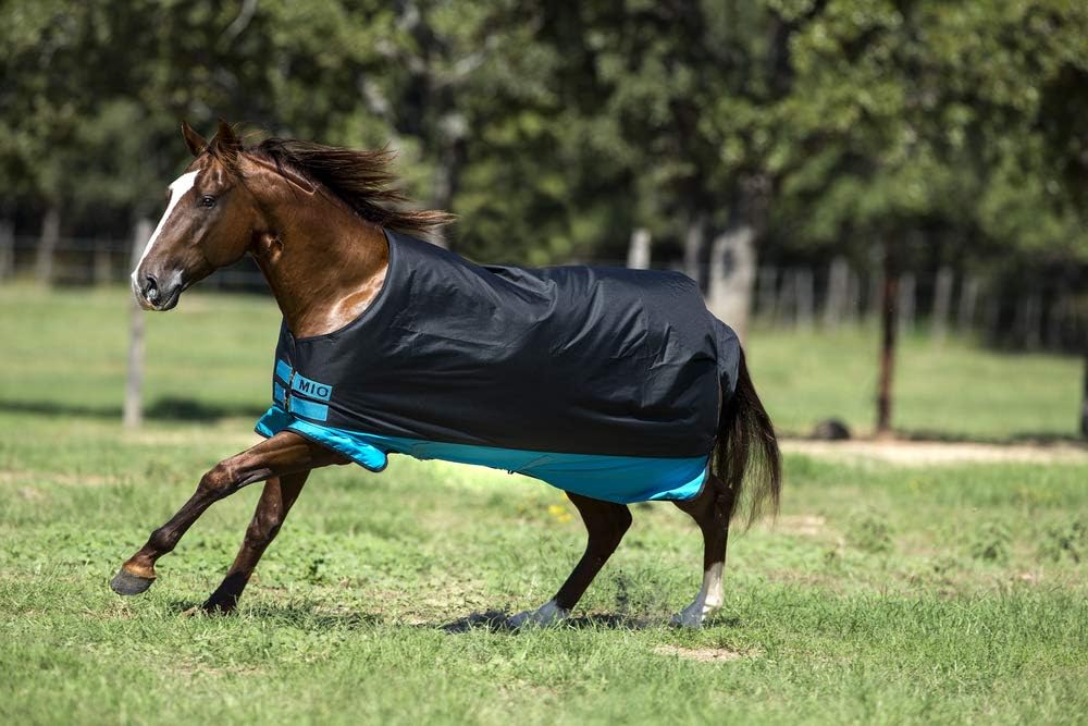 Horseware Amigo Mio Turnout medium black turquoise Weidedecke Winterdecke schwaz-türkis 7'0, schwaz-