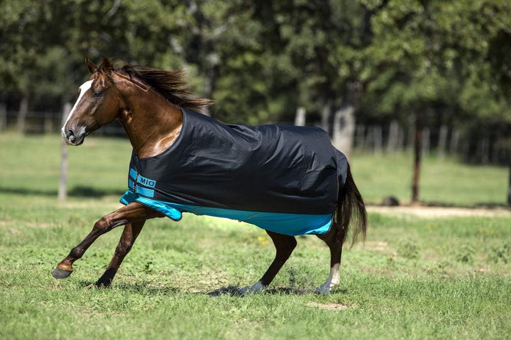 Horseware Amigo Mio Turnout medium black turquoise Weidedecke Winterdecke schwaz-türkis 125, schwaz-