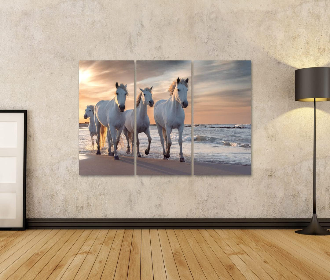 islandburner Bild auf Leinwand Weisse Pferde Camargue Frankreich Herde Bilder Wandbilder Poster Lein